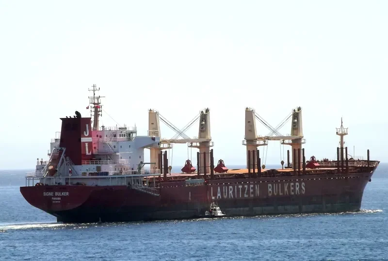 REA Bulk Carrier IMO 9497165 photo 7