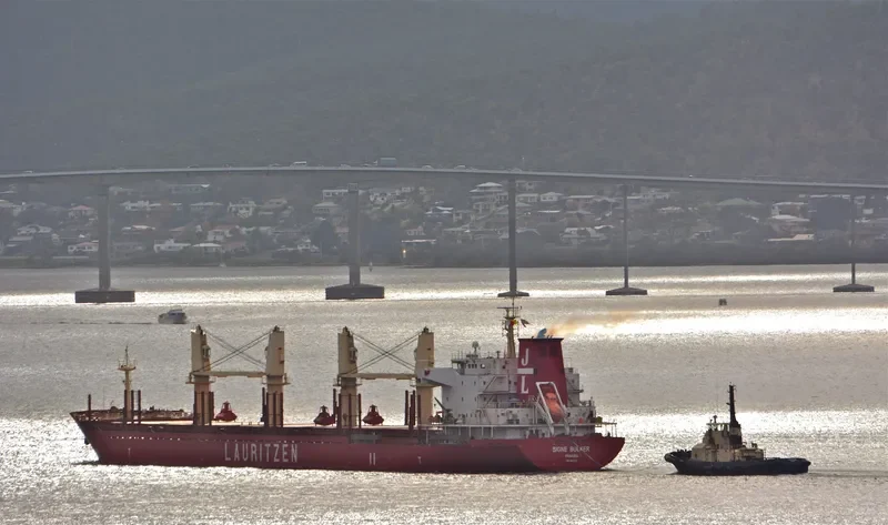 REA Bulk Carrier IMO 9497165 photo 9