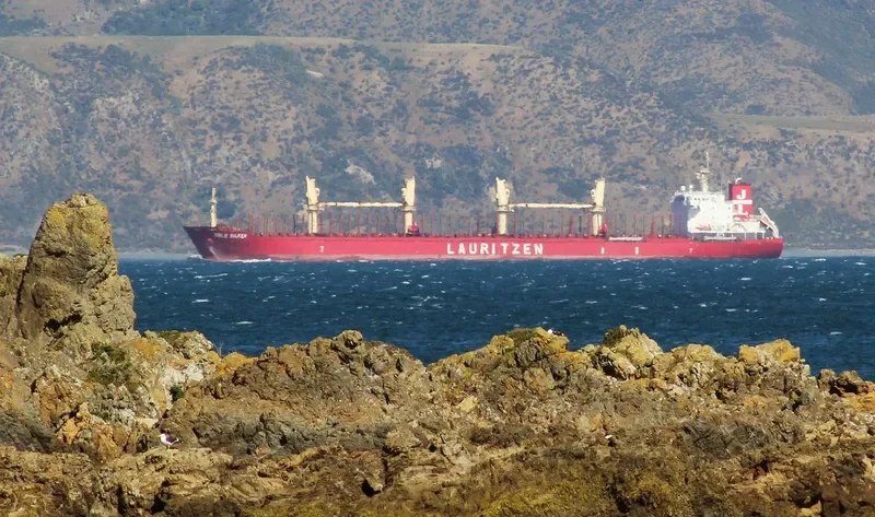 CLIPPER AEGINA Bulk Carrier IMO 9497177 photo 2