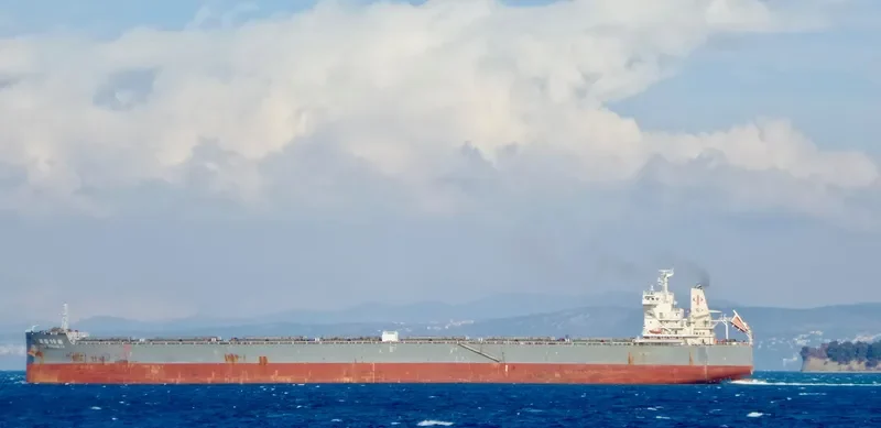MAGSENGER 19 Bulk Carrier IMO 9497311 photo 3