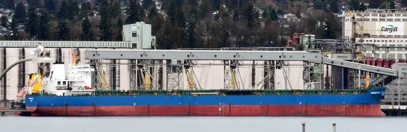 BONNEVILLE Bulk Carrier IMO 9497323 photo 3