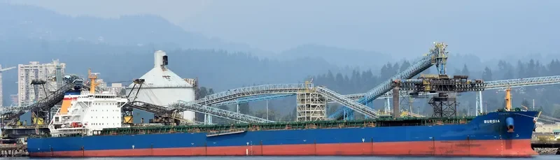 BONNEVILLE Bulk Carrier IMO 9497323 photo 4