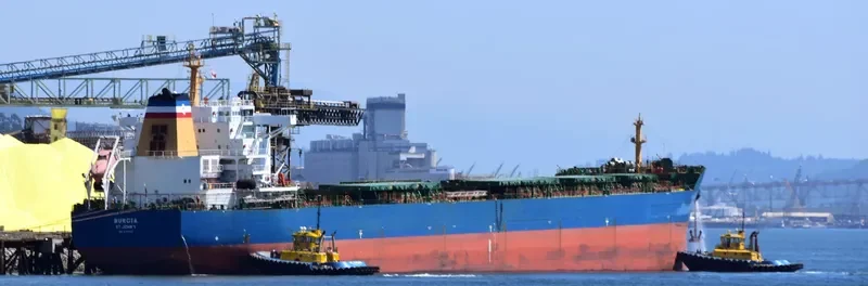 BONNEVILLE Bulk Carrier IMO 9497323 photo 5