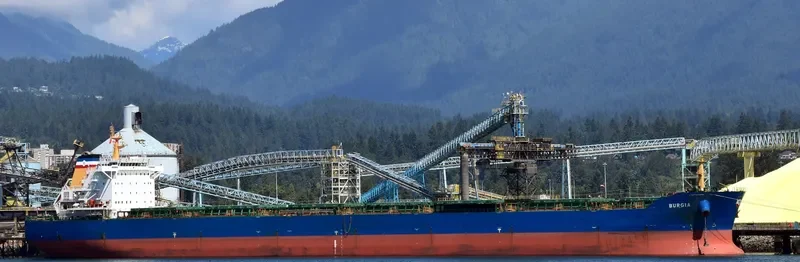 BONNEVILLE Bulk Carrier IMO 9497323 photo 9