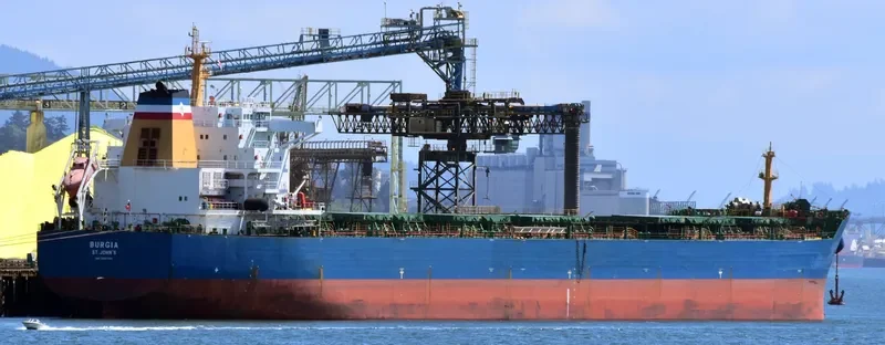 BONNEVILLE Bulk Carrier IMO 9497323 photo 16
