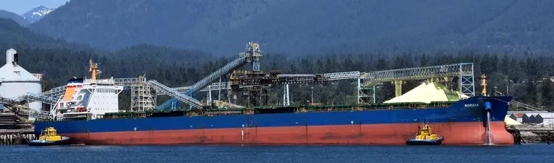 BONNEVILLE Bulk Carrier IMO 9497323 photo 22