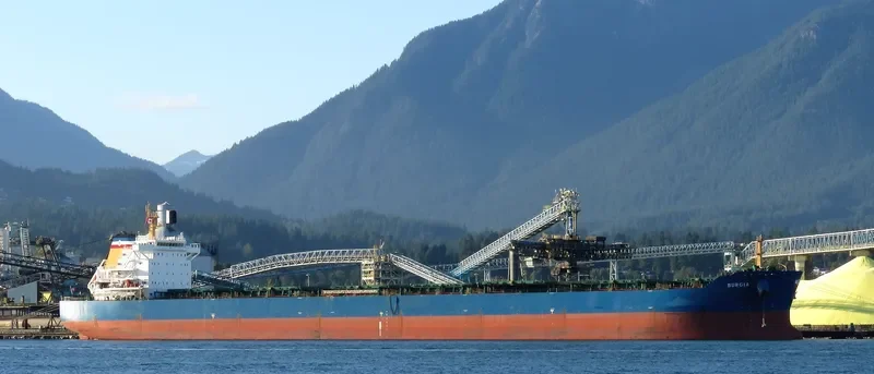 BONNEVILLE Bulk Carrier IMO 9497323 photo 33