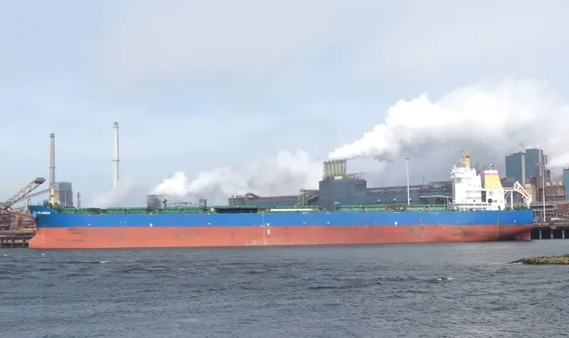 THUNDERBIRD Bulk Carrier IMO 9497335