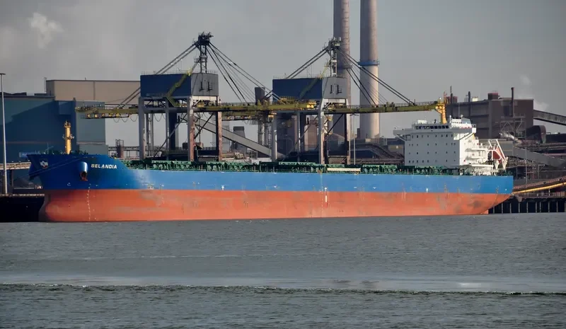 THUNDERBIRD Bulk Carrier IMO 9497335 photo 2