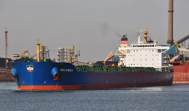 THUNDERBIRD Bulk Carrier IMO 9497335 photo 4
