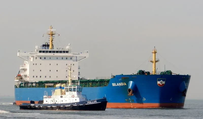 THUNDERBIRD Bulk Carrier IMO 9497335 photo 7