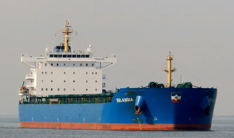THUNDERBIRD Bulk Carrier IMO 9497335 photo 9