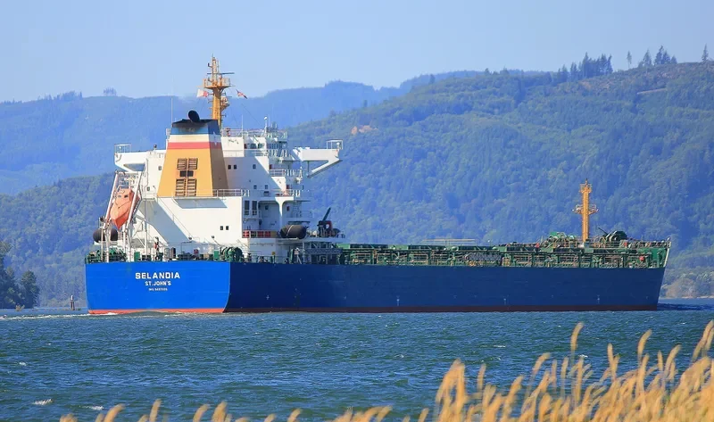 THUNDERBIRD Bulk Carrier IMO 9497335 photo 10