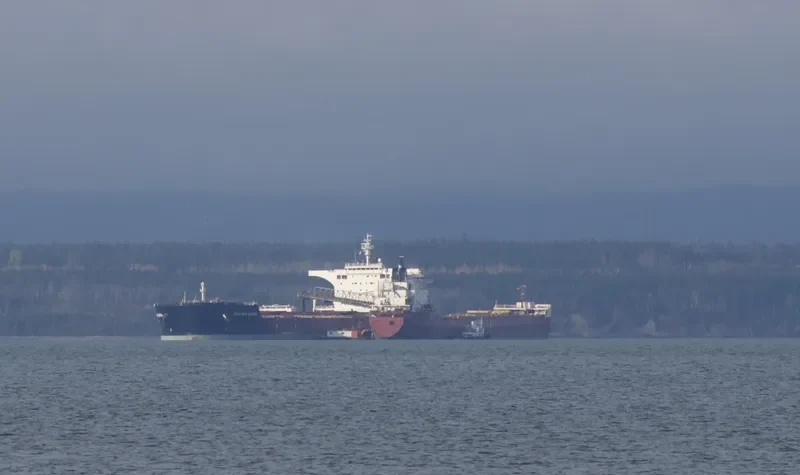 PACIFIC QUEEN Bulk Carrier IMO 9497359 photo 3