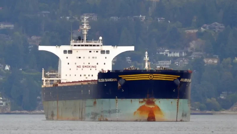 BULK NORWAY Bulk Carrier IMO 9497361 photo 2