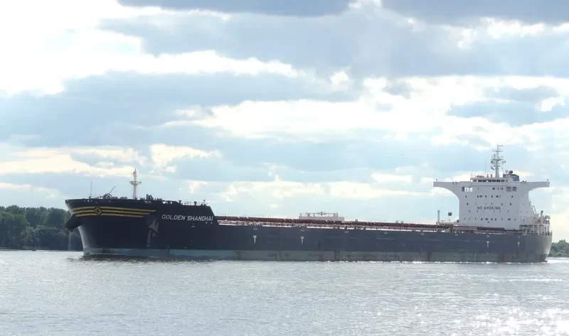 BULK NORWAY Bulk Carrier IMO 9497361 photo 6