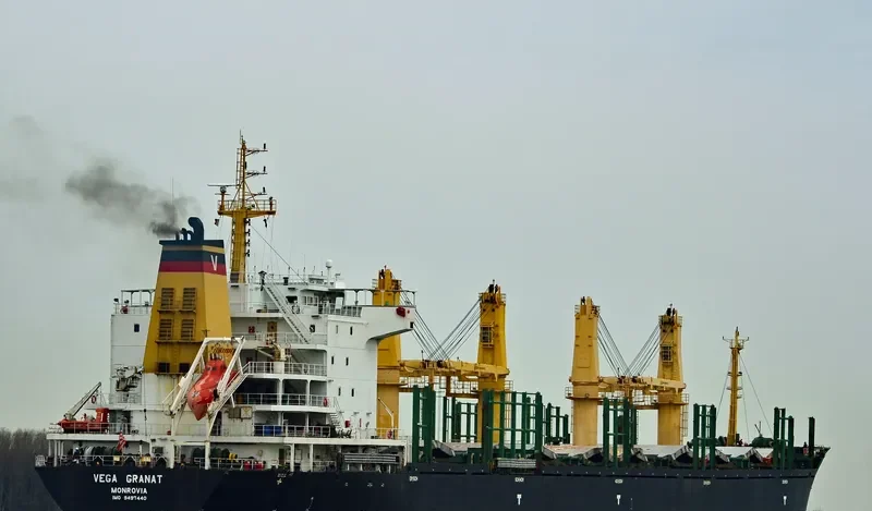 VEGA GRANAT Bulk Carrier IMO 9497440 photo 2