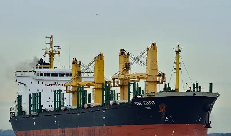 VEGA GRANAT Bulk Carrier IMO 9497440 photo 3