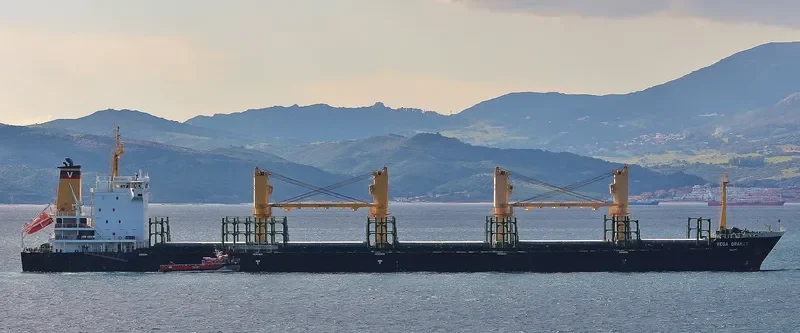 VEGA GRANAT Bulk Carrier IMO 9497440 photo 4