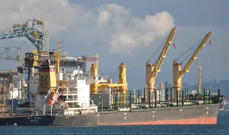 VEGA GRANAT Bulk Carrier IMO 9497440 photo 5