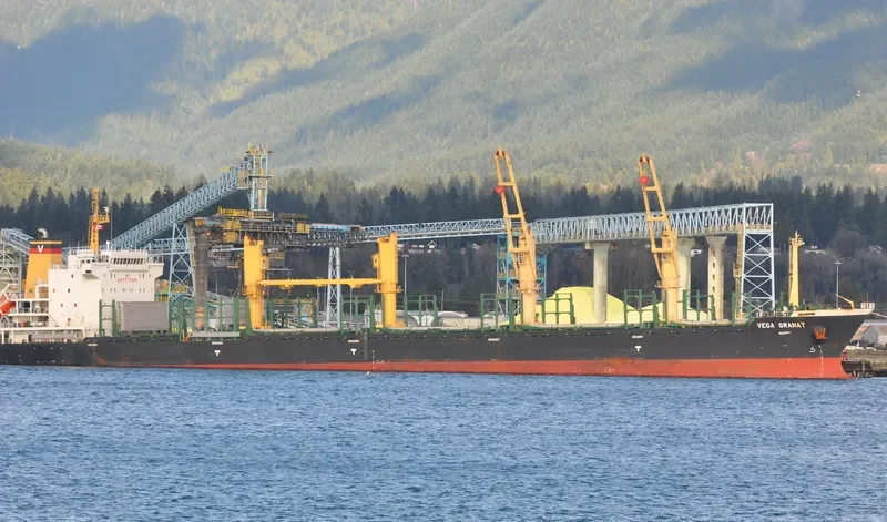VEGA GRANAT Bulk Carrier IMO 9497440 photo 6