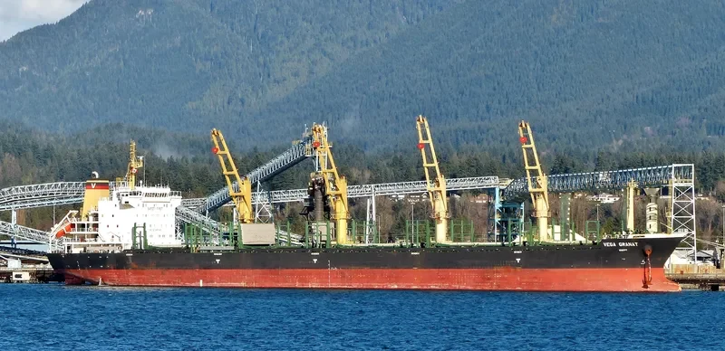 VEGA GRANAT Bulk Carrier IMO 9497440 photo 7