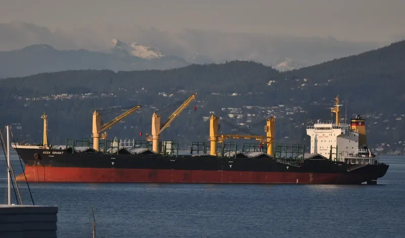 VEGA GRANAT Bulk Carrier IMO 9497440 photo 8