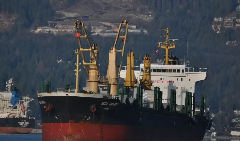 VEGA GRANAT Bulk Carrier IMO 9497440 photo 9