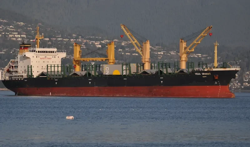 VEGA GRANAT Bulk Carrier IMO 9497440 photo 10