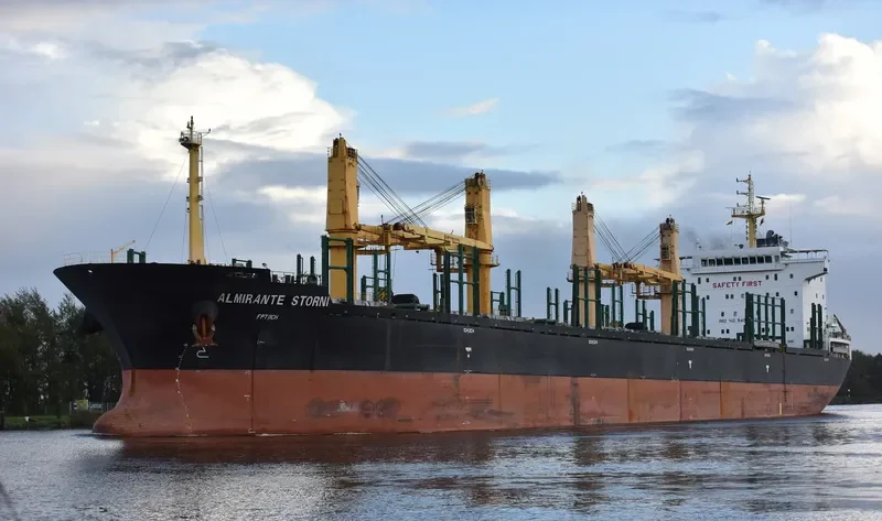 ALMIRANTE STORNI Bulk Carrier IMO 9497452