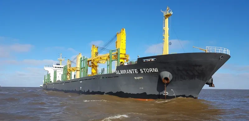 ALMIRANTE STORNI Bulk Carrier IMO 9497452 photo 8