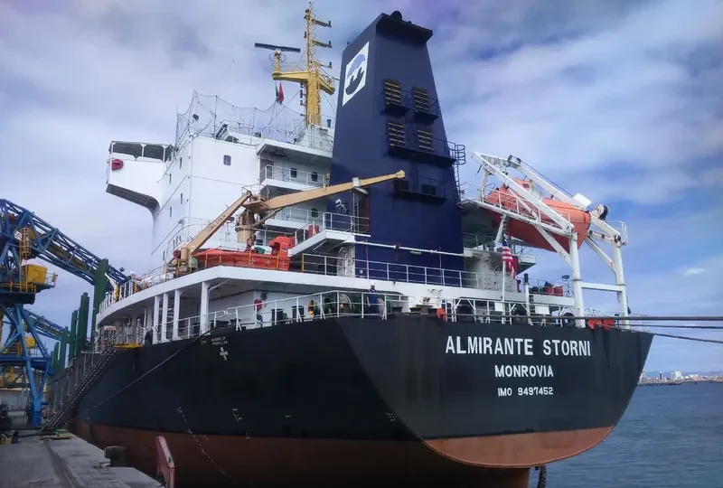 ALMIRANTE STORNI Bulk Carrier IMO 9497452 photo 9