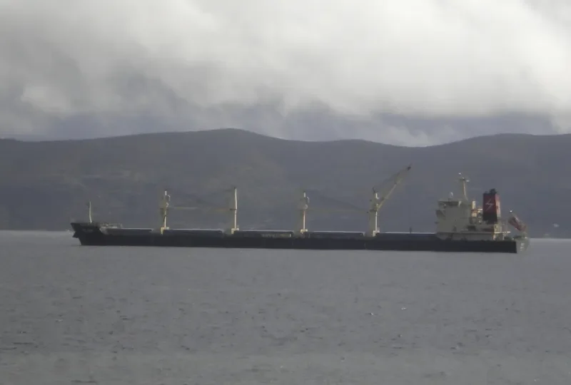 MELODY Bulk Carrier IMO 9497476 photo 3