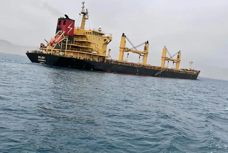 MELODY Bulk Carrier IMO 9497476 photo 7