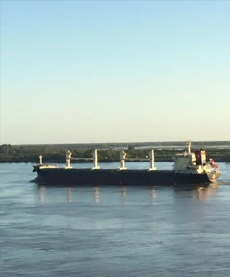 HG PERTH Bulk Carrier IMO 9497505 photo 2