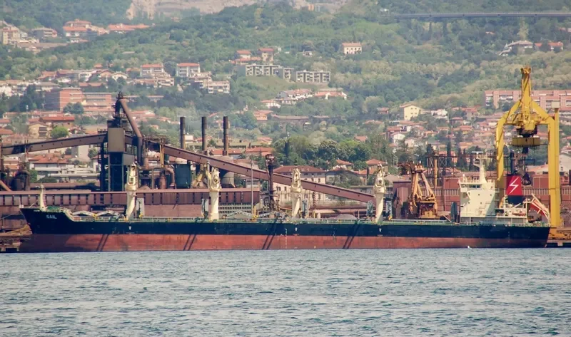 HG PERTH Bulk Carrier IMO 9497505 photo 4