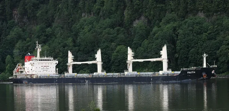 FAITH Bulk Carrier IMO 9497529 photo 6