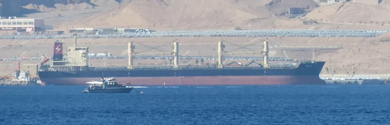 FAITH Bulk Carrier IMO 9497529 photo 9