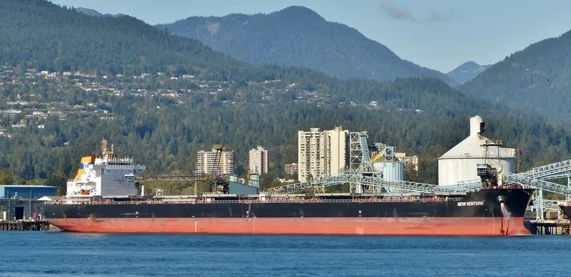 NEW VENTURE Bulk Carrier IMO 9497622 photo 8