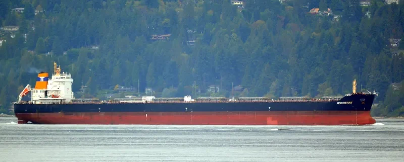 NEW VENTURE Bulk Carrier IMO 9497622 photo 10