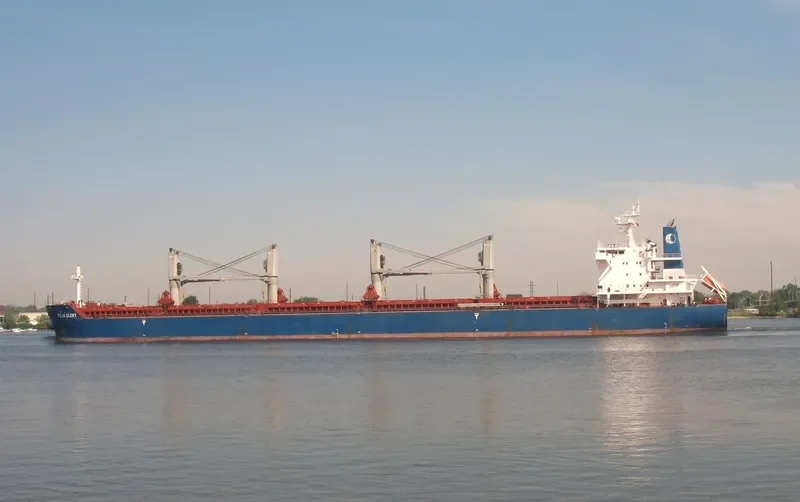 FILIA GLORY Bulk Carrier IMO 9497842 photo 2