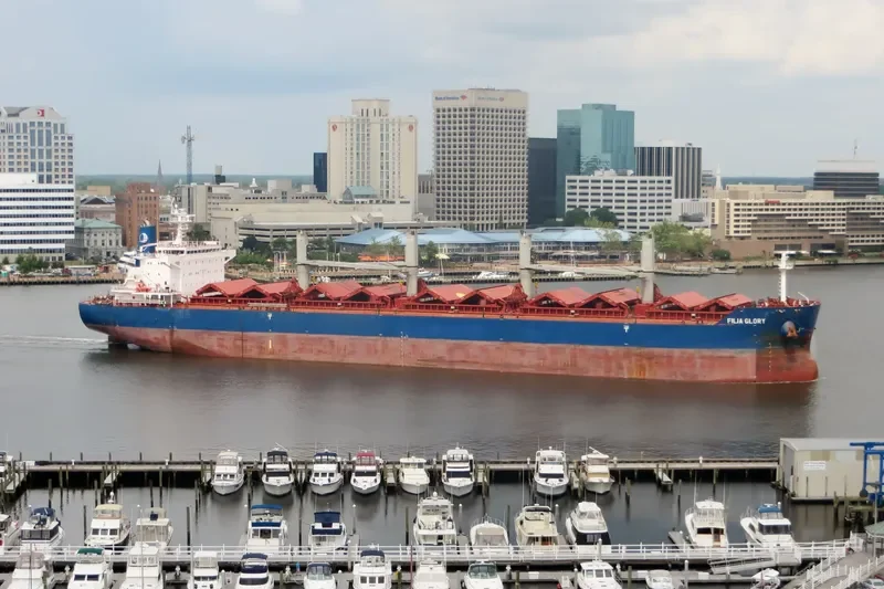 FILIA GLORY Bulk Carrier IMO 9497842 photo 3