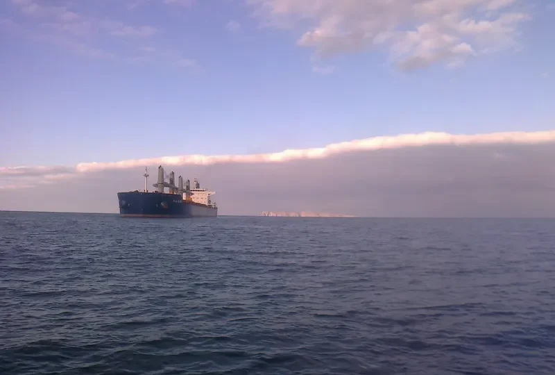 FILIA GLORY Bulk Carrier IMO 9497842 photo 7
