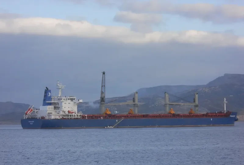 FILIA GLORY Bulk Carrier IMO 9497842 photo 10