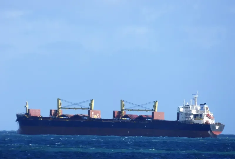 HELENA K Bulk Carrier IMO 9497854 photo 2