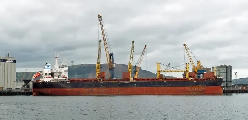 HELENA K Bulk Carrier IMO 9497854 photo 3
