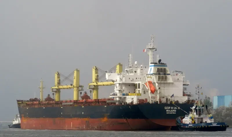 HELENA K Bulk Carrier IMO 9497854 photo 4