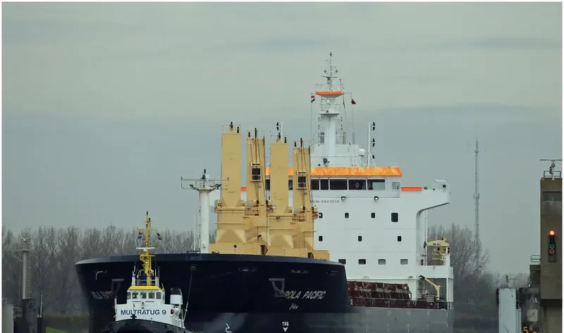POLA PACIFIC Bulk Carrier IMO 9497878