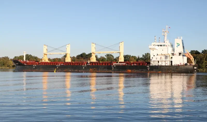 POLA PACIFIC Bulk Carrier IMO 9497878 photo 6
