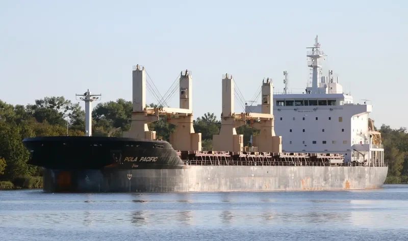 POLA PACIFIC Bulk Carrier IMO 9497878 photo 7